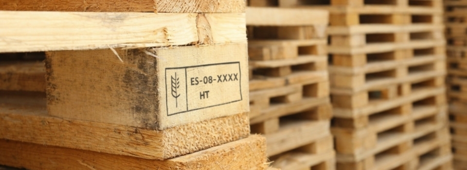 Norma NIMF 15: definición, obligaciones y aplicaciones para las empresas